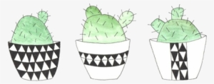 Transparent Cactus - Cactus Twitter Header