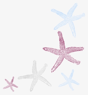 Pin Starfish Clip Art Png - Private Listing For Pam 2 Pair Custom Angela Style