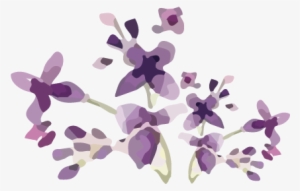 Element-1 - Portable Network Graphics