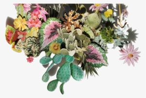 Added Transparency - Collage Art Plant Collage