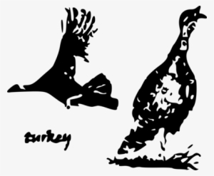 Stencil Silhouette Art Drawing Black And White - Illustration