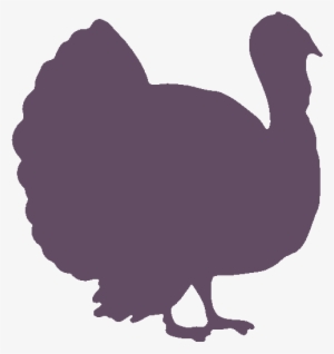 2kg Of Turkey Necks - Silueta De Un Pavo