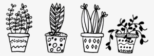 About The Aro - Cactus Png Black And White