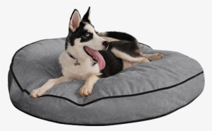 Smart Pup Round Dog Beds