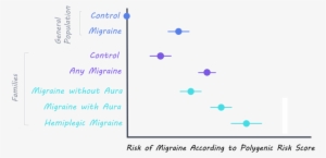 Imigrainepic - Diagram
