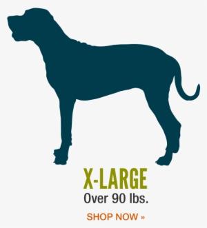 Selecting The Perfect Dog Bed - Dog