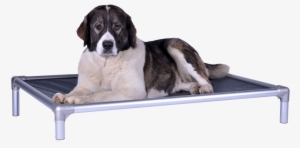 Kuranda Dog Beds - Orthopedisch Hondenbed