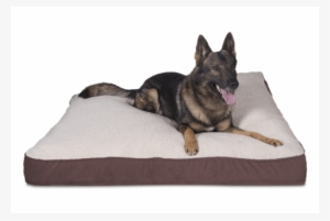 Nest Bedding Luxury Corduroy Pet Bed - Old German Shepherd Dog