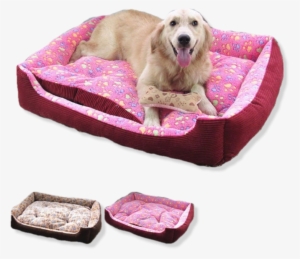 Paw Print Dog Bed For Small To Large Pooches Pooch
