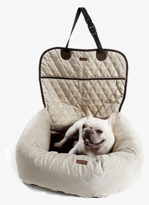 Functional <strong>dog</strong> Car Front Seat <strong>cover - Car Seat Cover Dog Australia