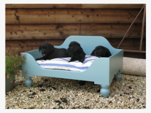 Luxury Raised Wooden Dog Beds - Wooden Dog Beds