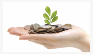 Saving - Cpf Investment