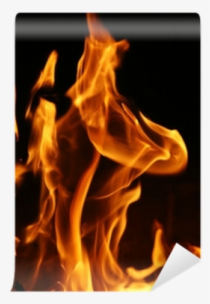 Pro Tools Ii Ignite!: The Visual Guide