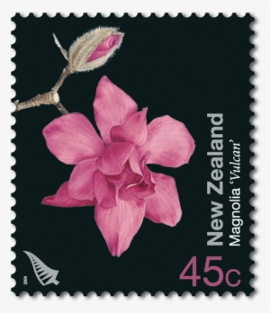 Product Listing For Garden Flowers - Cattleya