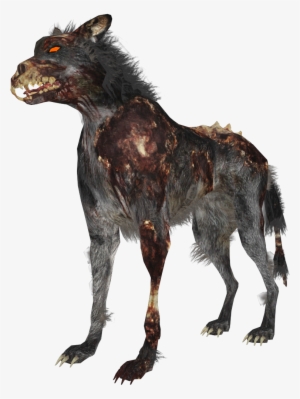 Zombie Wolf Zps4bf8a59d - Black Ops Hellhound Png