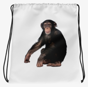 Chimpanzee Print Drawstring Bag - Drawstring Bag