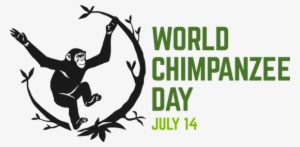 In Honor Of Humans' Closest Cousin, World Chimpanzee - July 14 What Day