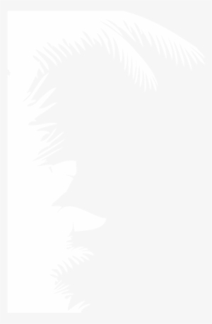 Report On Chimpanzee Nest Survey Preliminary Results - Foundation