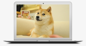 Immense Technological Transformation Is What The World - Meme Doge