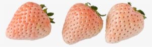 White Balloon Png - Strawberry Tumblr Transparent