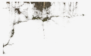 Dirty Decals - Video Game Developer