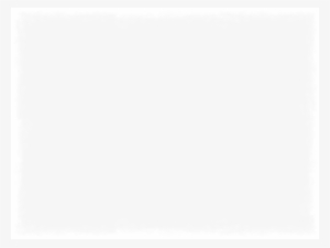 Since Our Start In 2005 Stray Dog Adventures Has Been - Carmine