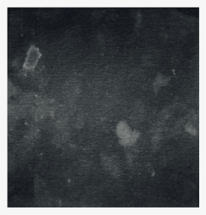 What Is A Dirty Movie - Monochrome