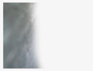 The Original Old Dirty Bastard - Wall