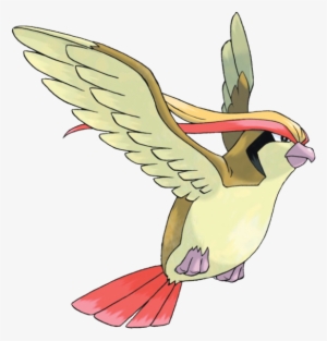 Pidgeot - Pokemon Pidgeot