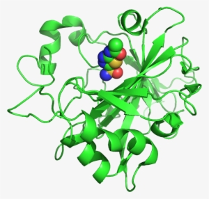 File - 4lu3 - Perry The Platypus