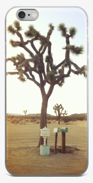Joshua Tree Iphone Case - Mockup