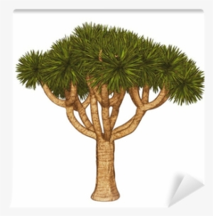 Joshua Tree , - Stock Illustration