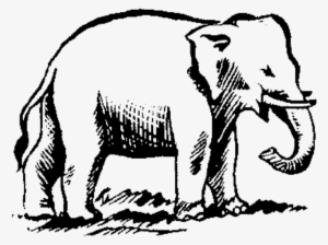 Indian Election Symbol Elephant 2 - Asian Elephant Symbol