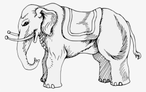 Details, Png - Elephant
