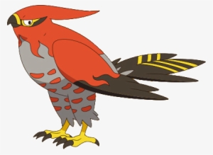 Talonflame Xy2 - Talonflame By Xy Anime