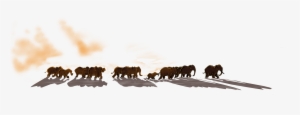This Experience Was Designed To Work On Desktop And - What Elephants Like
