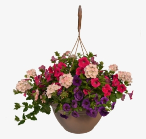 Hanging Flower Pot Png - Hanging Basket