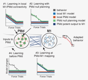 We Considered 4 Hypotheses & Examined Them One By One - Diagram