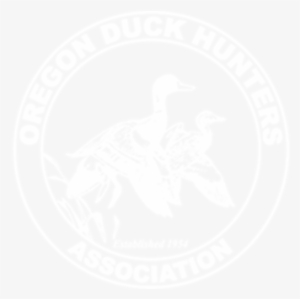 Duck Hunting In Oregon