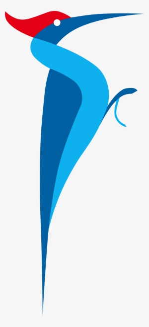 We Know That Our Woodpecker May Be A Little Long For - Strikedeck, Inc.