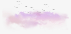 Clouds Cloud Birds Tumblr Kawaii Ftestickers - Cloud Birds