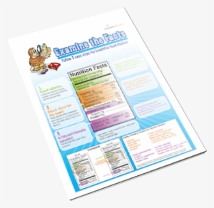 Nutrition Facts Food Label Handout Download - Food Label Poster - Nutrition Facts Poster...