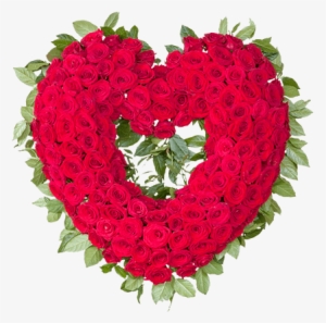 Open Heart Of Love - San Diego