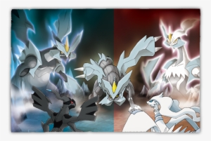 Important Stuff - Kyurem Noir Et Blanc