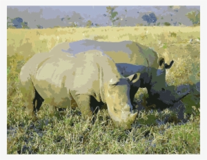 This Free Icons Png Design Of Rhinoceros In South Africa
