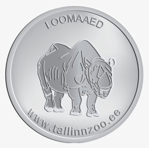 Tallinn Tallinn Zoo Rhinoceros - Virgen Del Pino Png