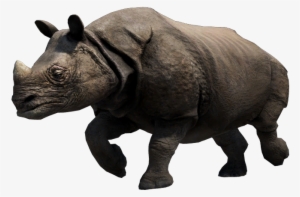 Rhino Pics - Far Cry 3 Rhino