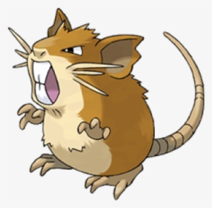 Pokemon Ditto - Rattata Pokemon