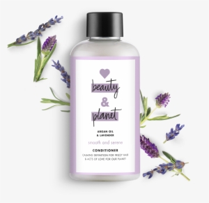 Love Beauty And Planet Lavender