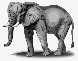 How To Set Use Colored Elephant Clipart
